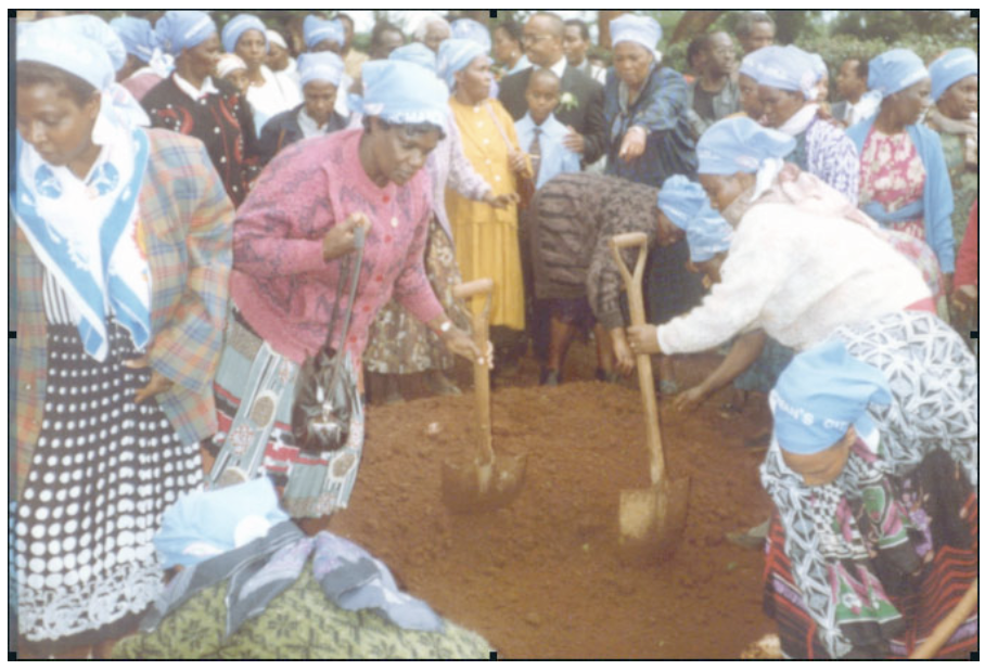 Image of women planting trees