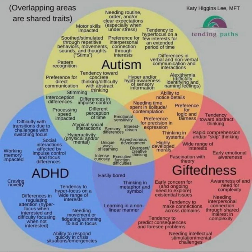 Venn diagram depicting the overlap between autism, ADHD, and giftedness